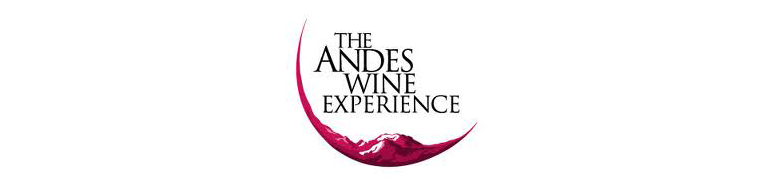 The Andes Wine Experience
